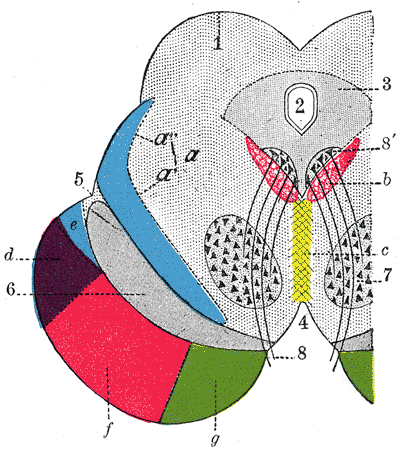 image710.gif