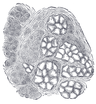 image1026.gif