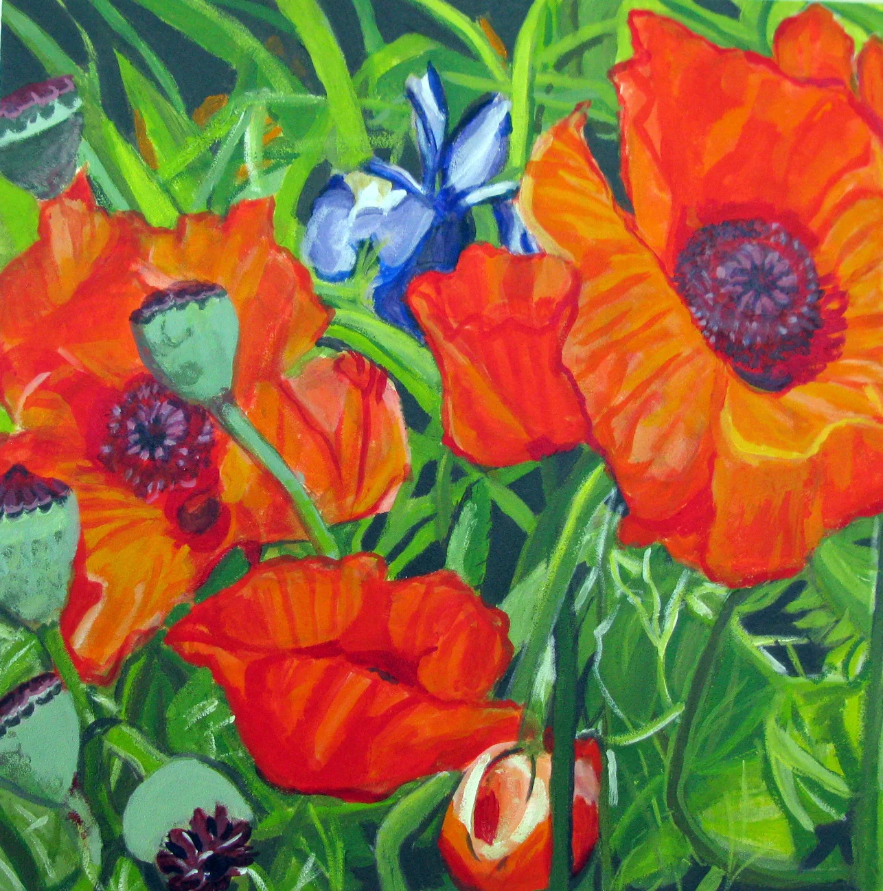 poppies & Dutch Flag.jpg