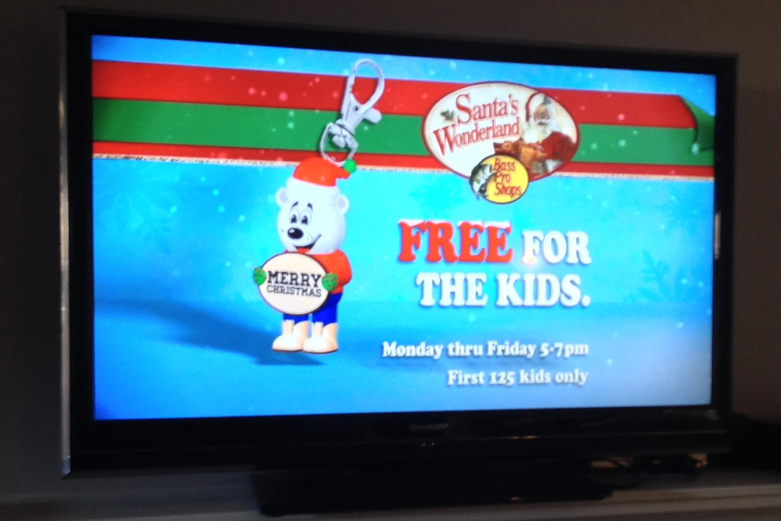 BPS-bear-TV-ad-(2500x1667).jpg