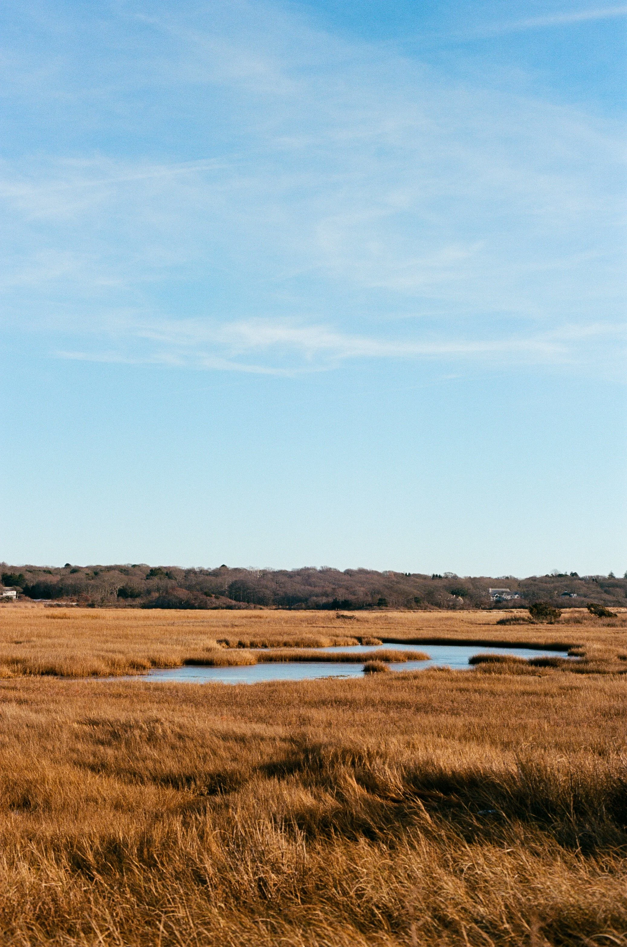 Cape Christmas 2024 Film-40.jpg