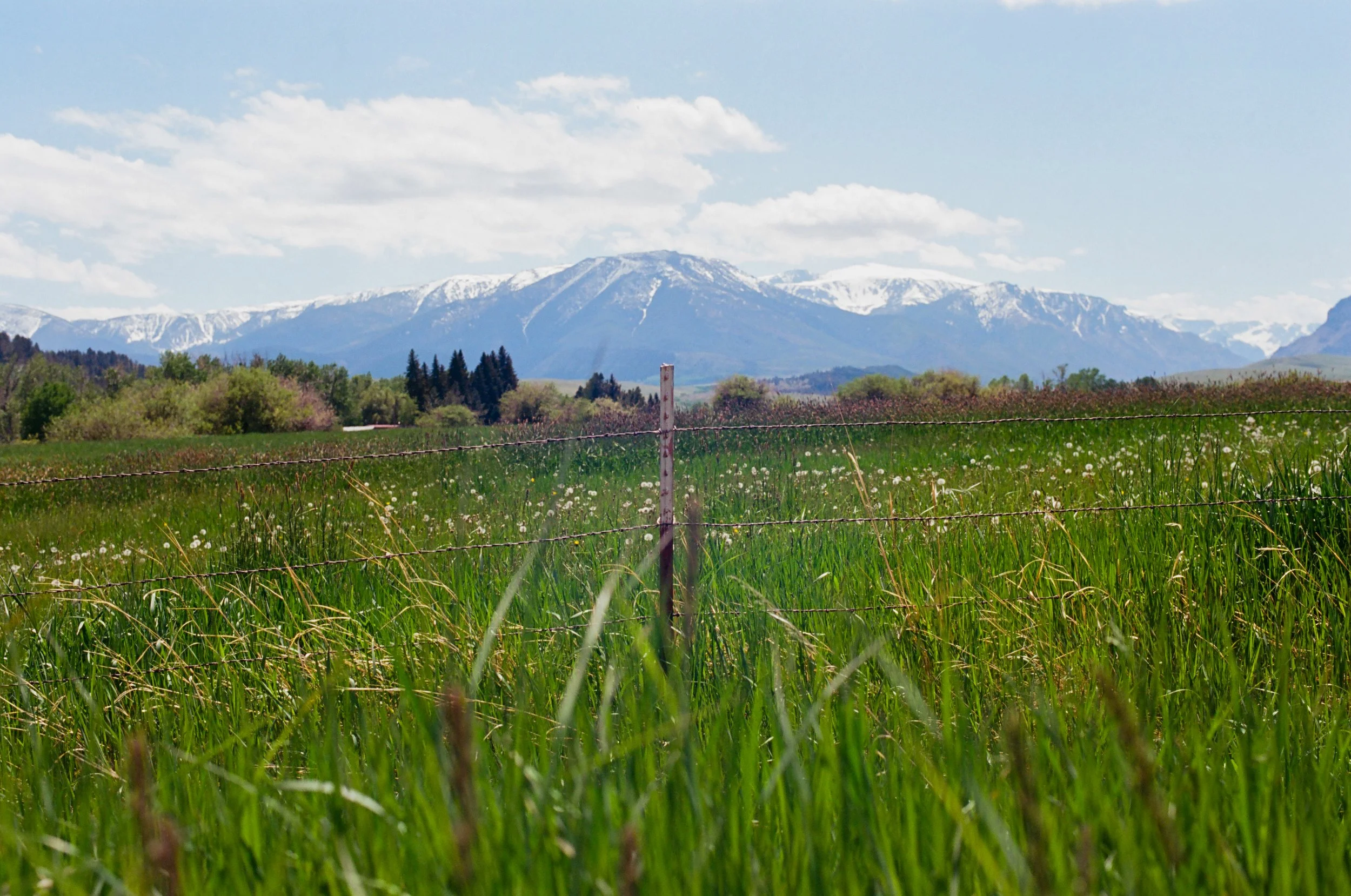 Montana and More Film (2025)-61.jpg