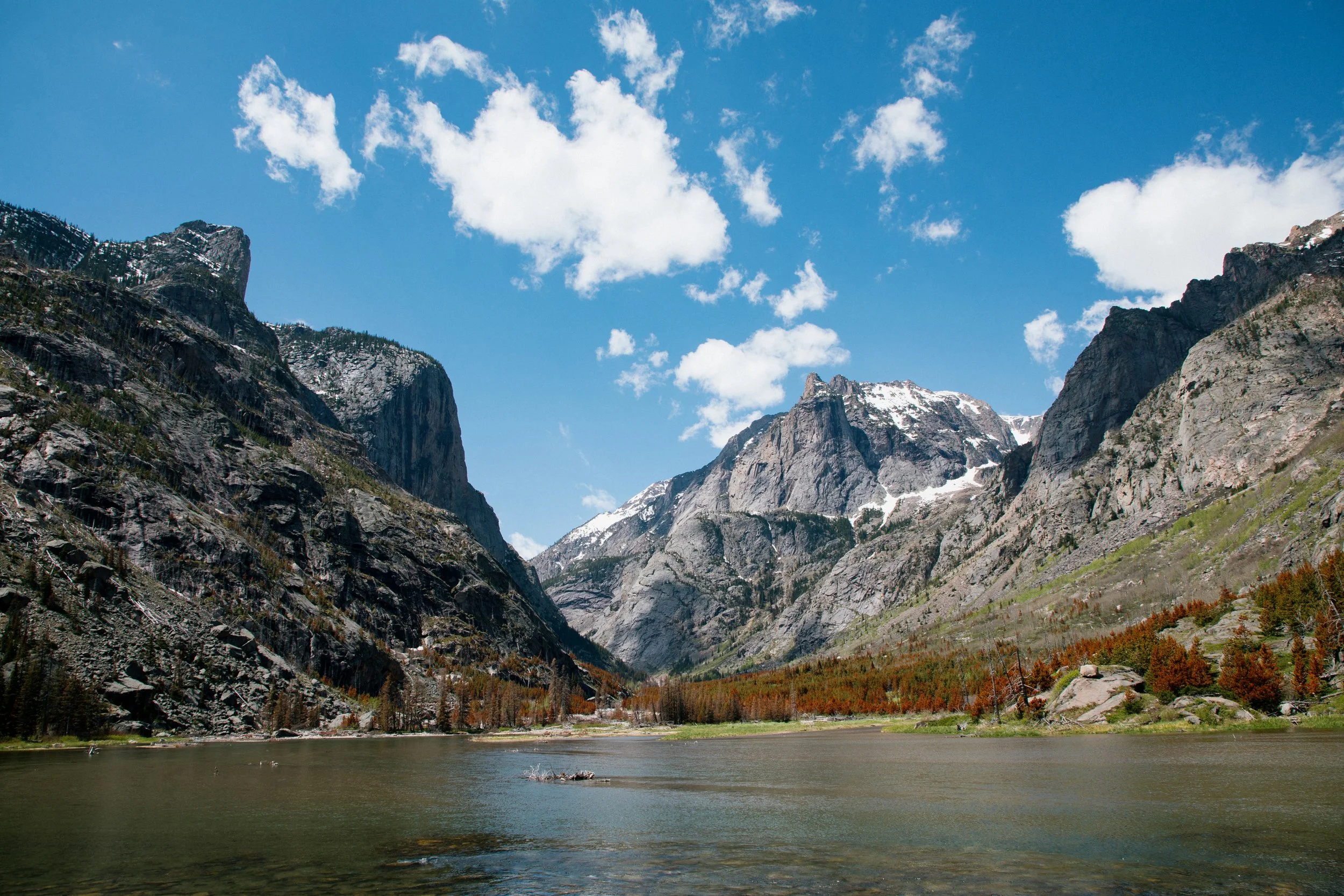 Montana Digital 2-84.jpg