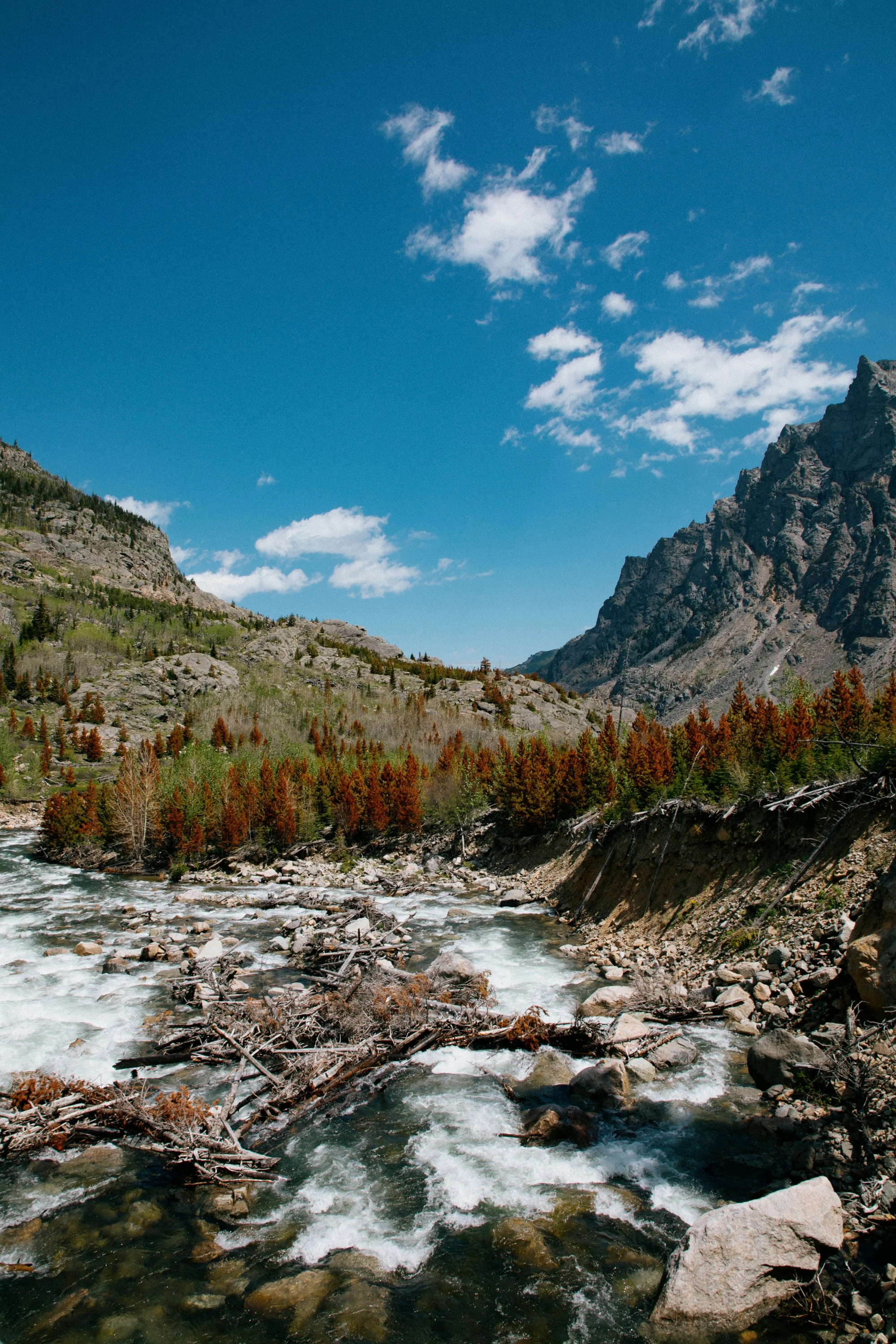 Montana Digital 2-88.jpg