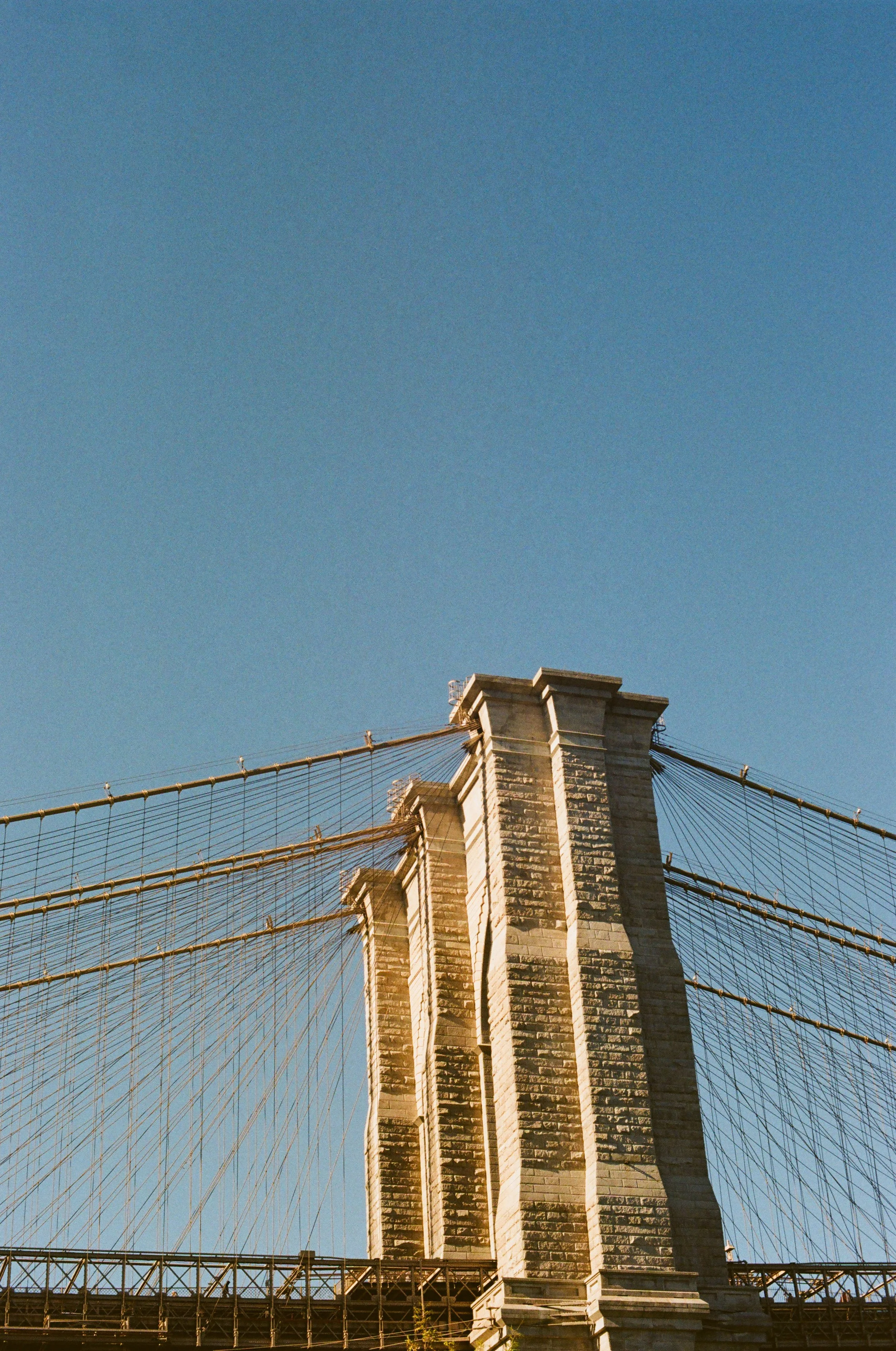 NYC 35mm 2025-7.jpg