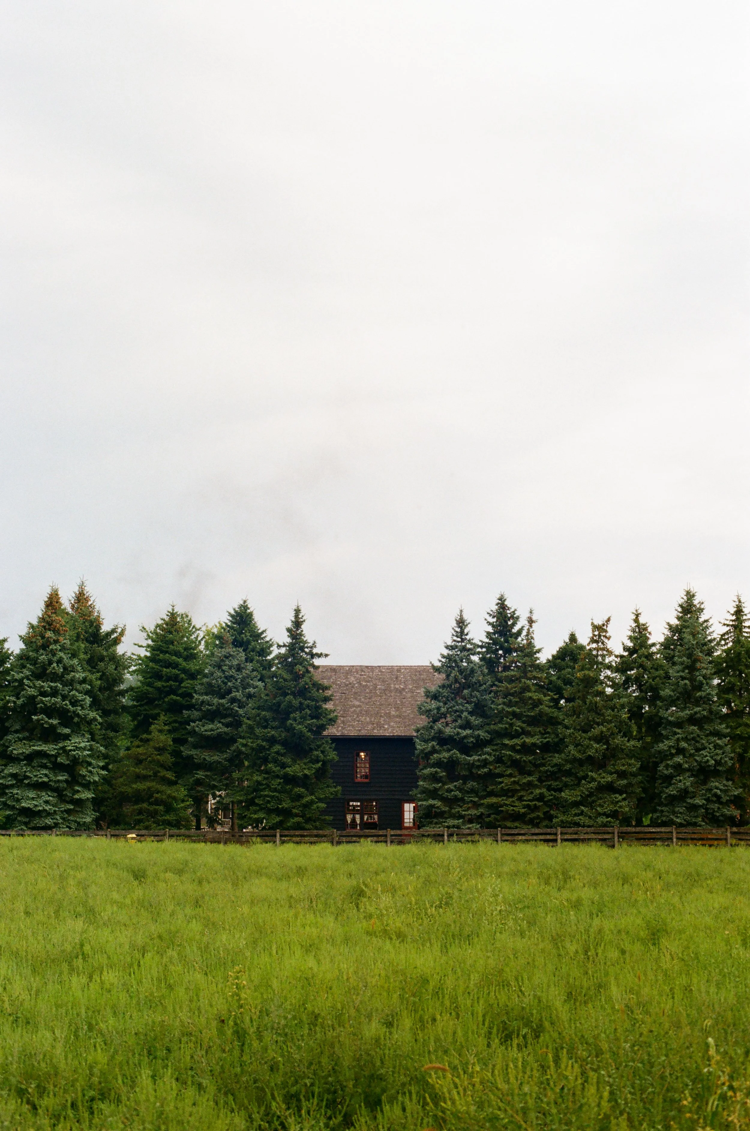 Michigan Film-9.jpg
