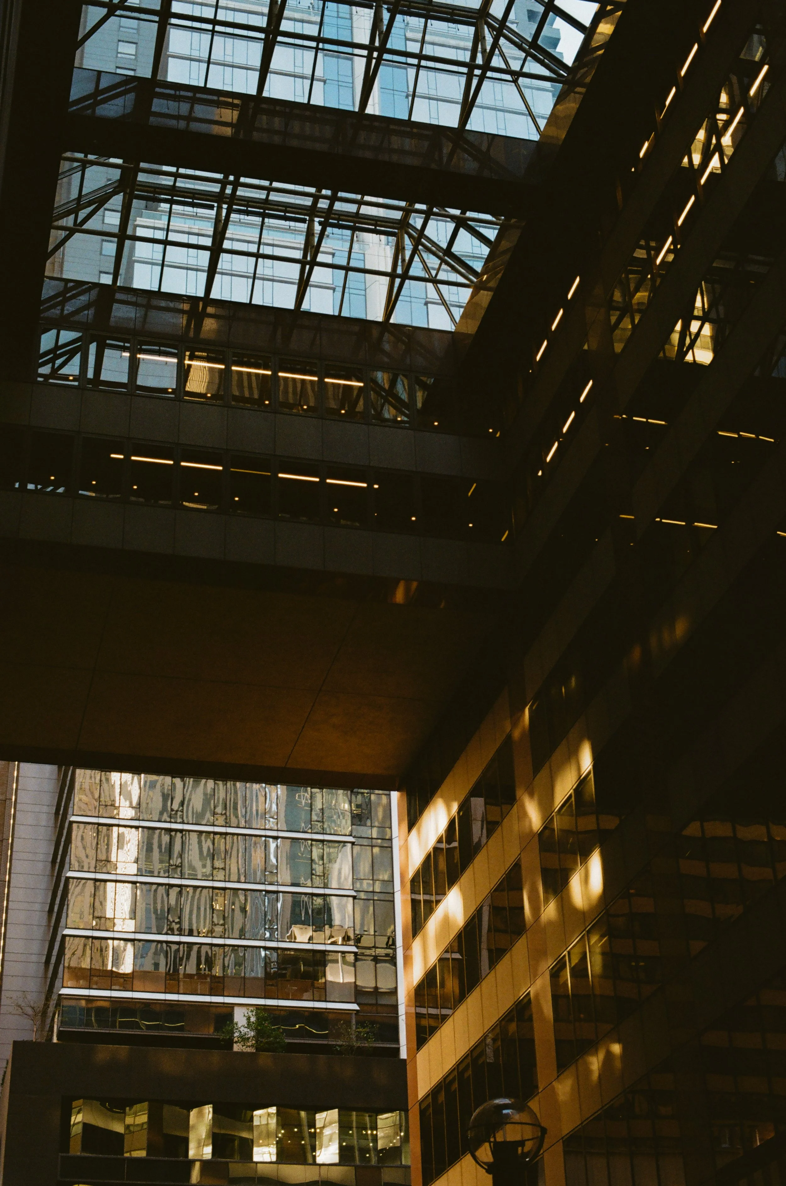 NYC 35mm 2025-20.jpg