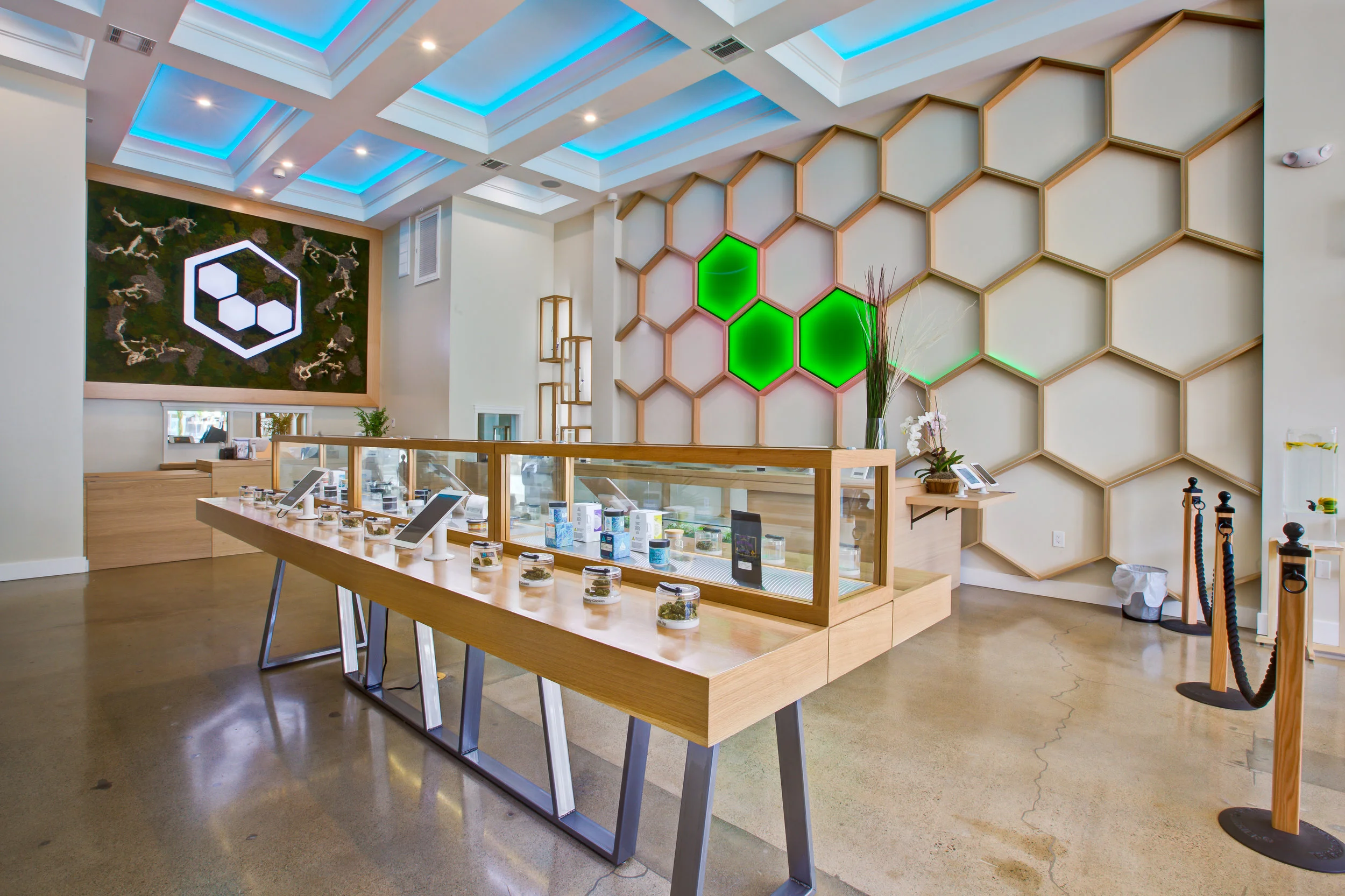 ECO Cannabis 1.22.19 by Tev Lee Photography 06.jpg