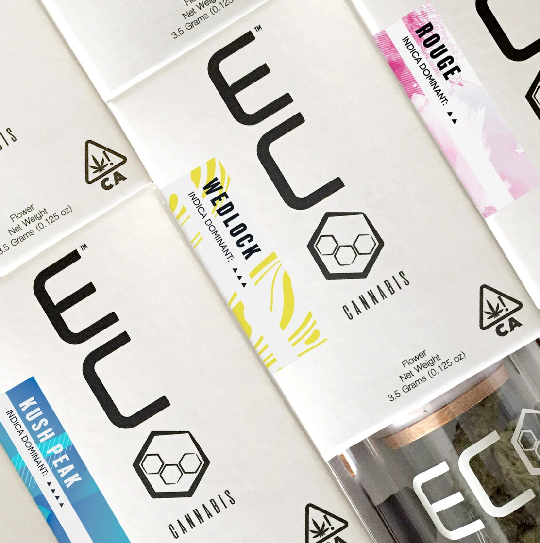 ECO BRanding Materials 4.jpg
