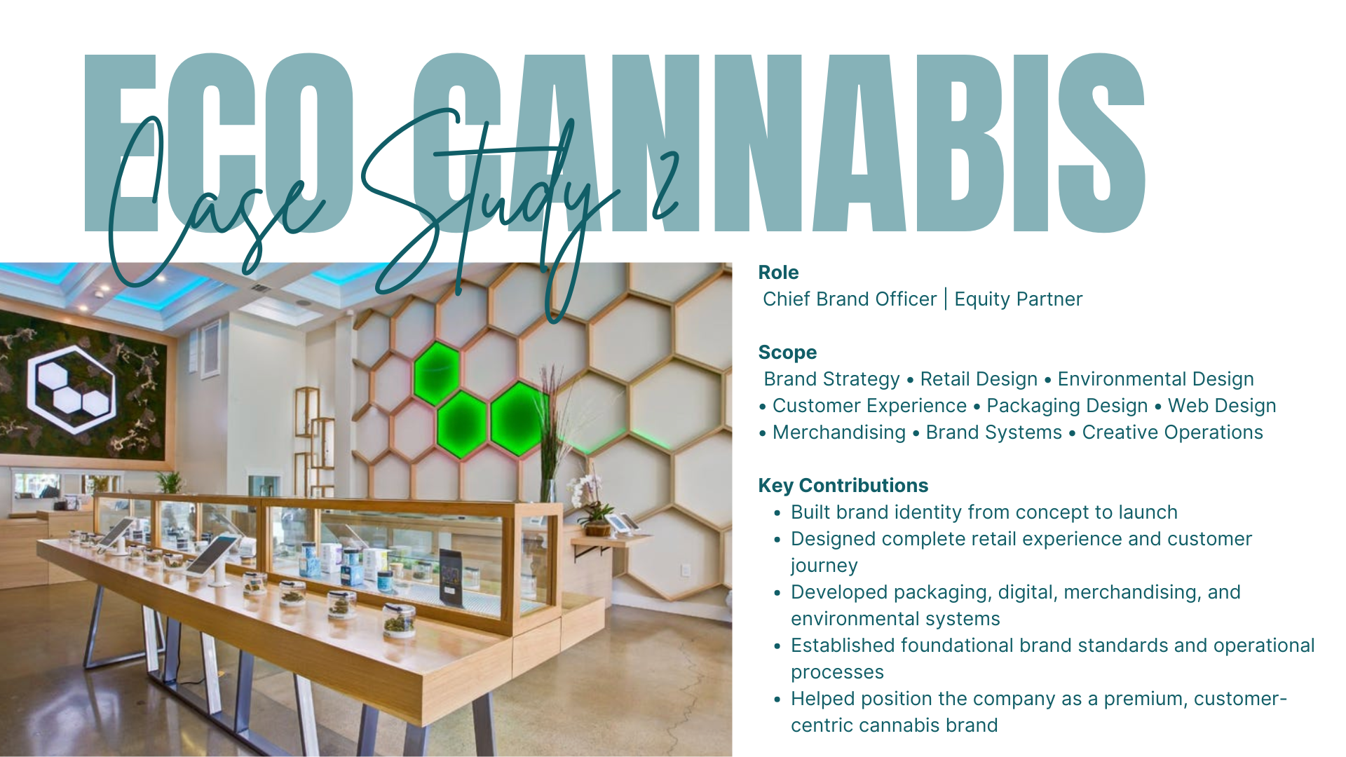 Modern ECO brand and retail buildout