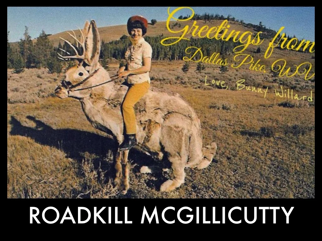 ROADKILL MOOD.001.jpeg