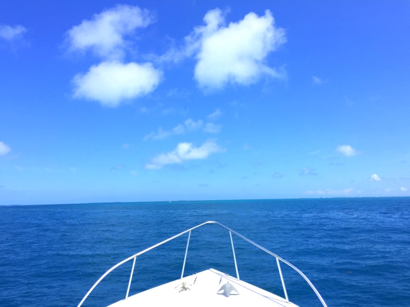 I mean, seriously, I could never get tired of this view!!