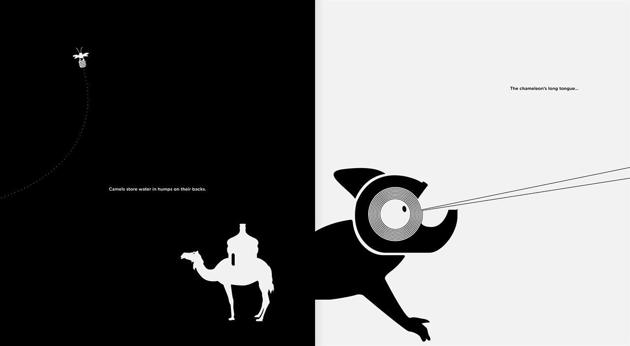 Camels store water in humps on their backs. / The chameleon's long toungue...