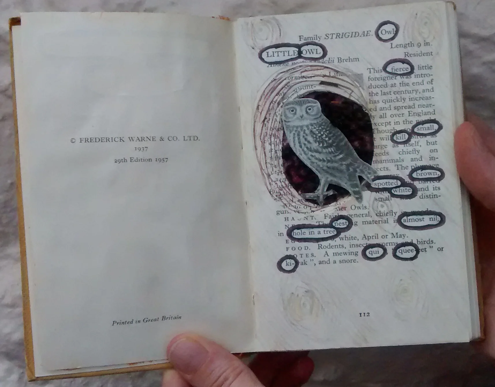 altered book little owl.jpg