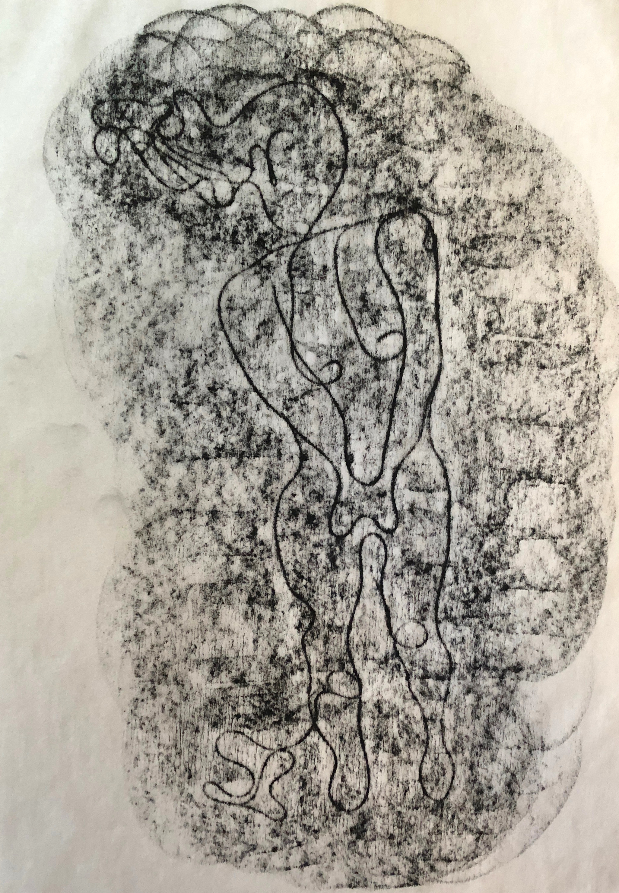 Venus Pudica, Oil pastel collagraph print of artist's hair on paper, 11x14, 2017