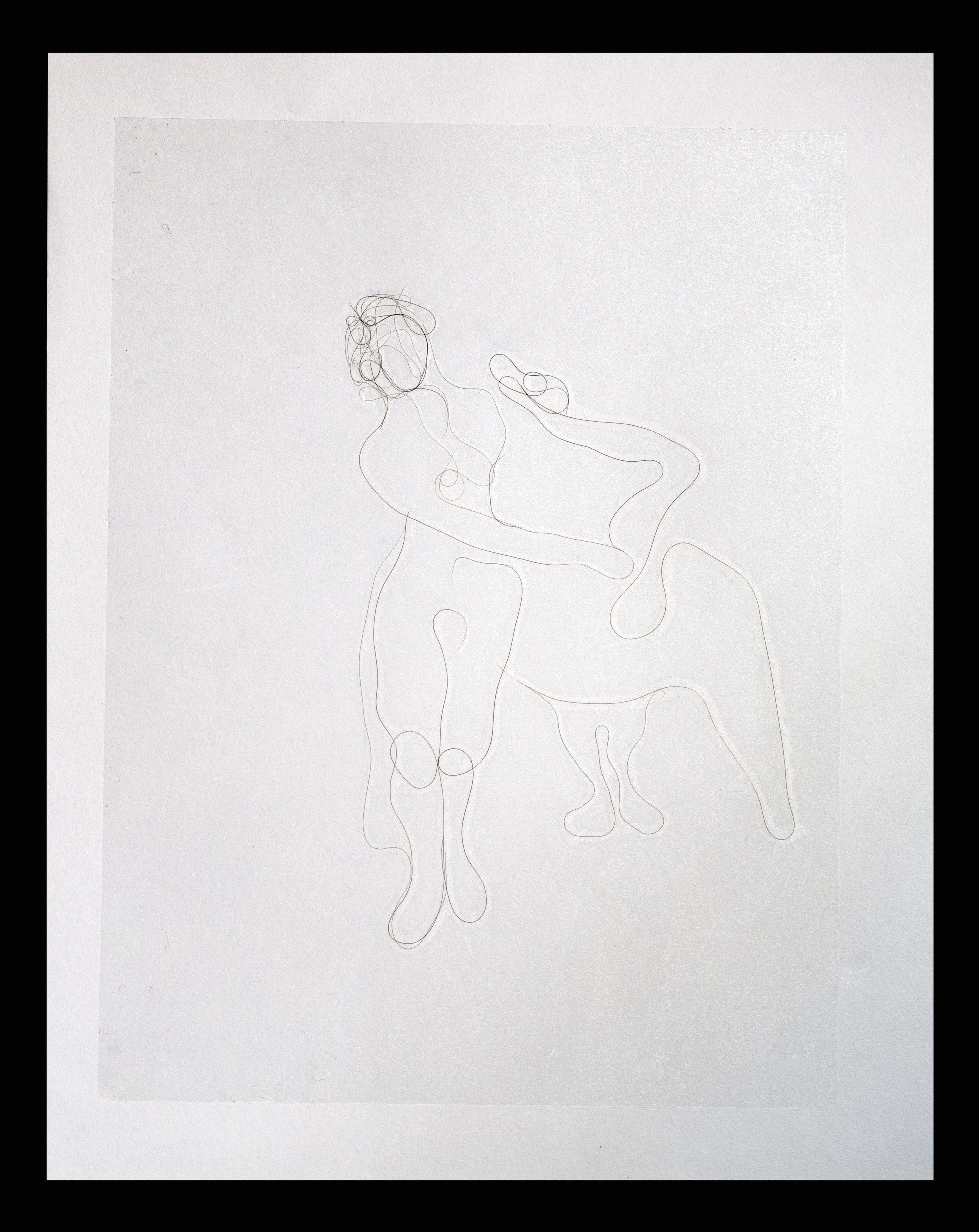 After Cesare da Sesto's After Leonardo's Leda and the Swan, Artist's hair on paper with adhesive overlay, 11x4, 2017
