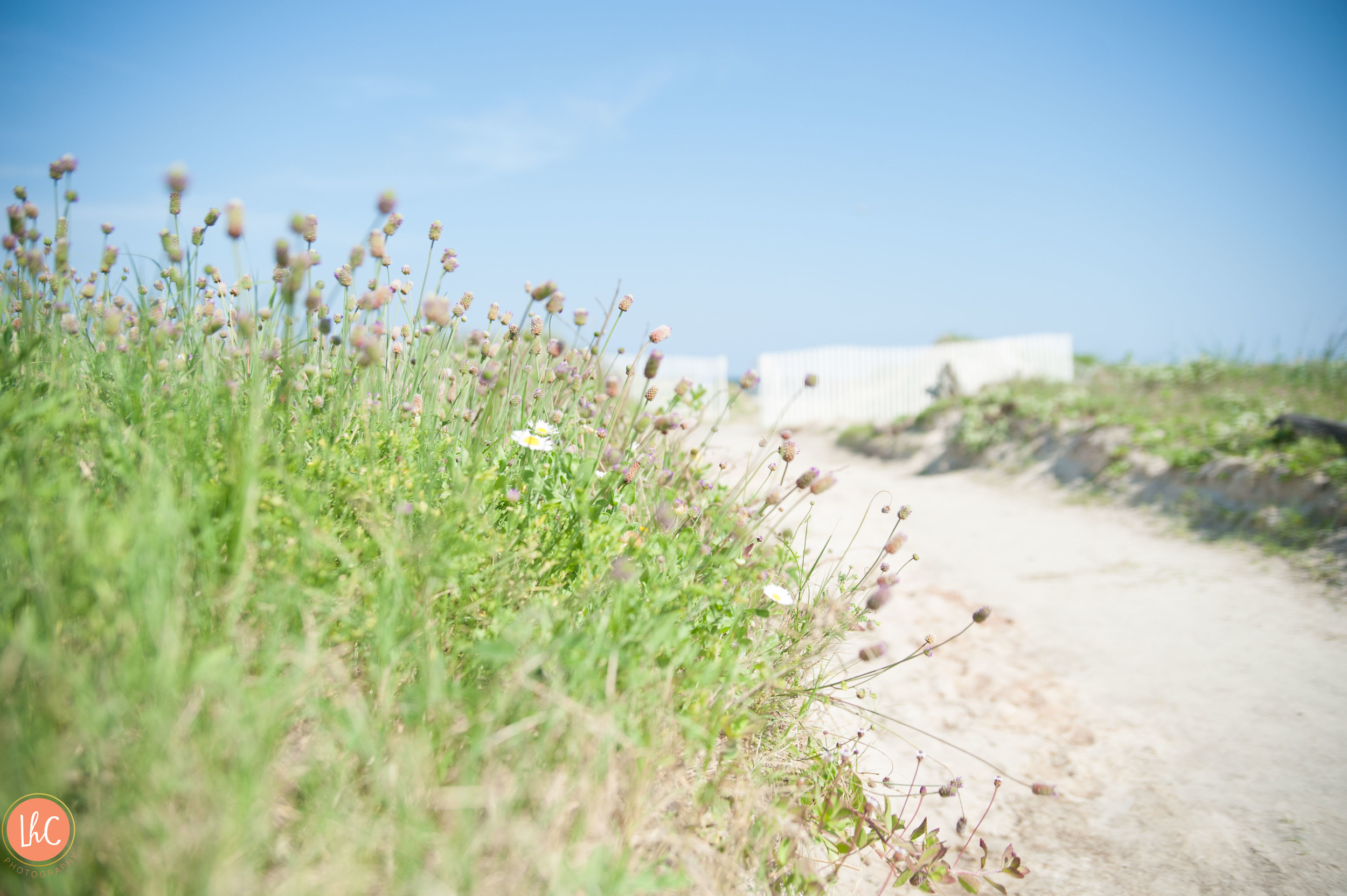 J Beach Web-72.jpg
