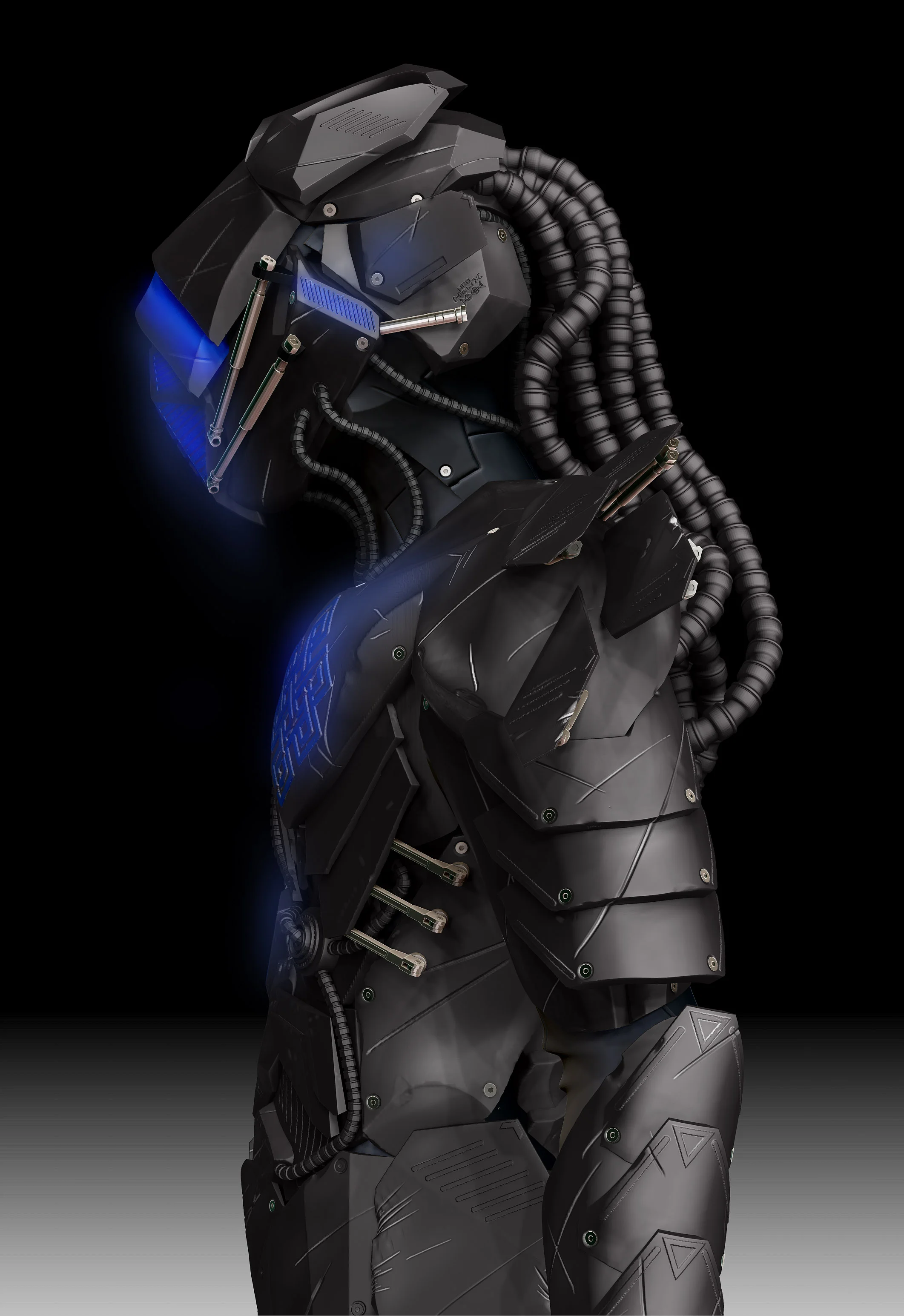 Neo-Ninja 4.jpg