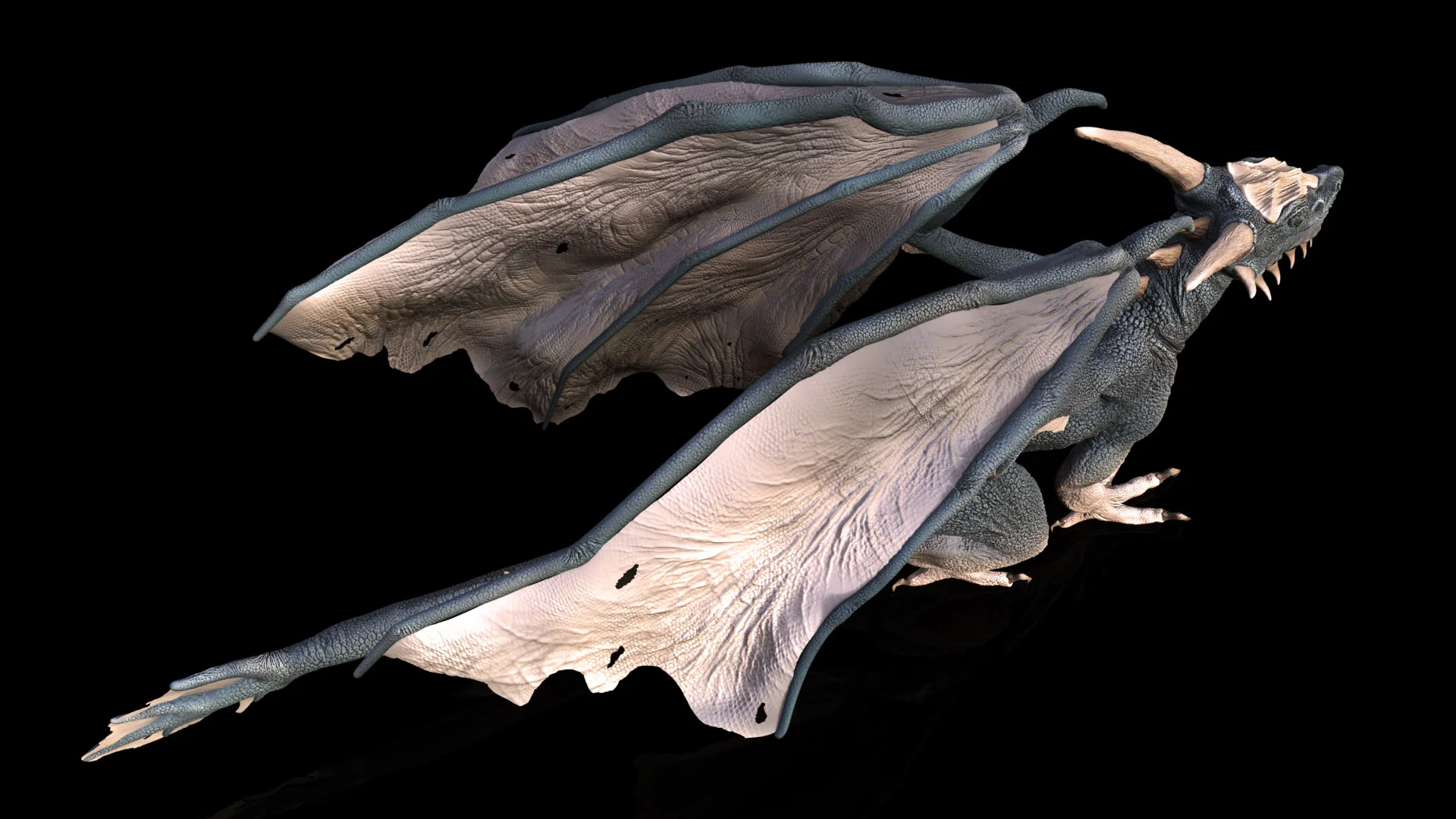 Uncommon Draccus Three.jpg