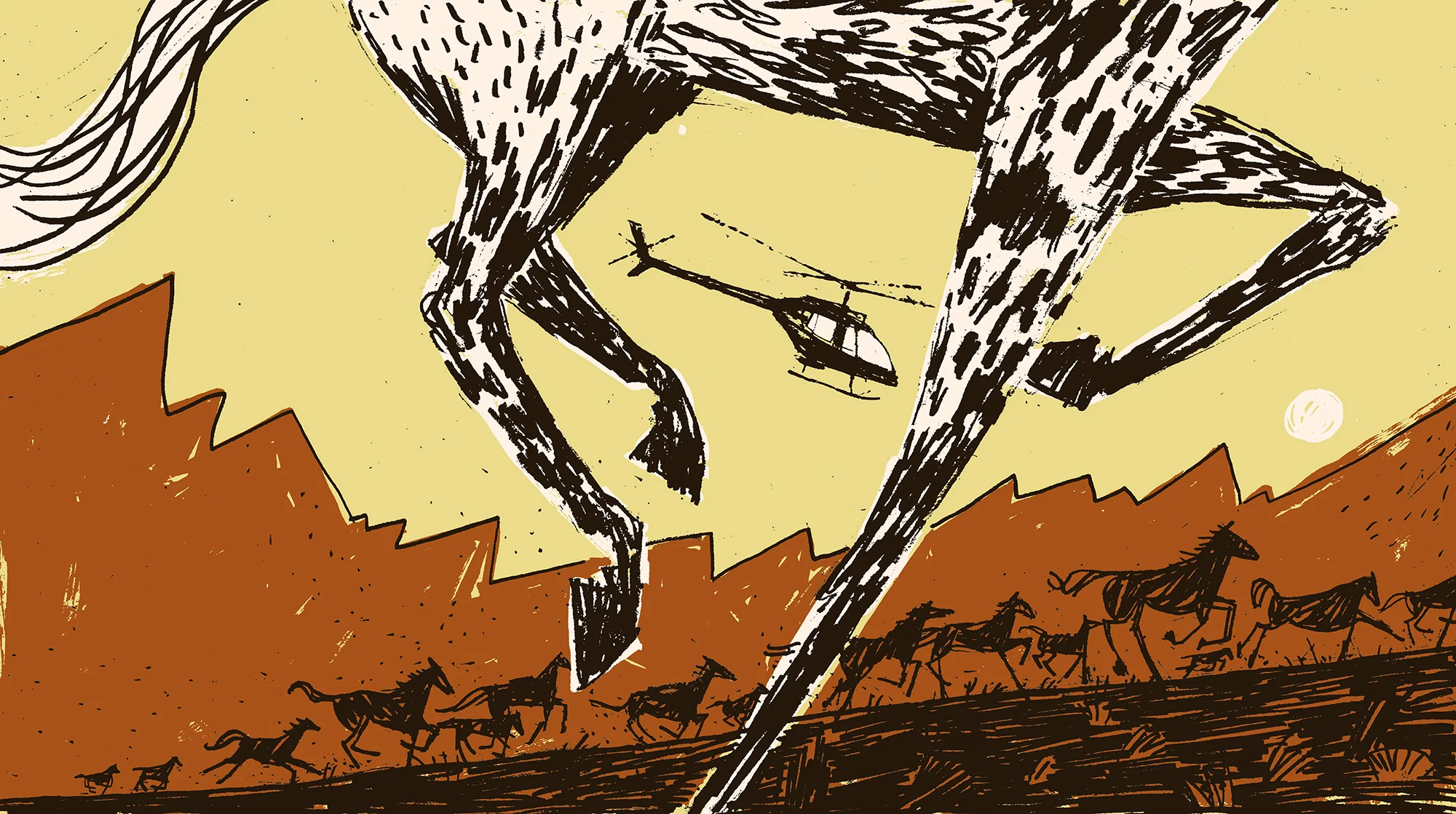 They'll Kill Horses, Won't They? / NY Times