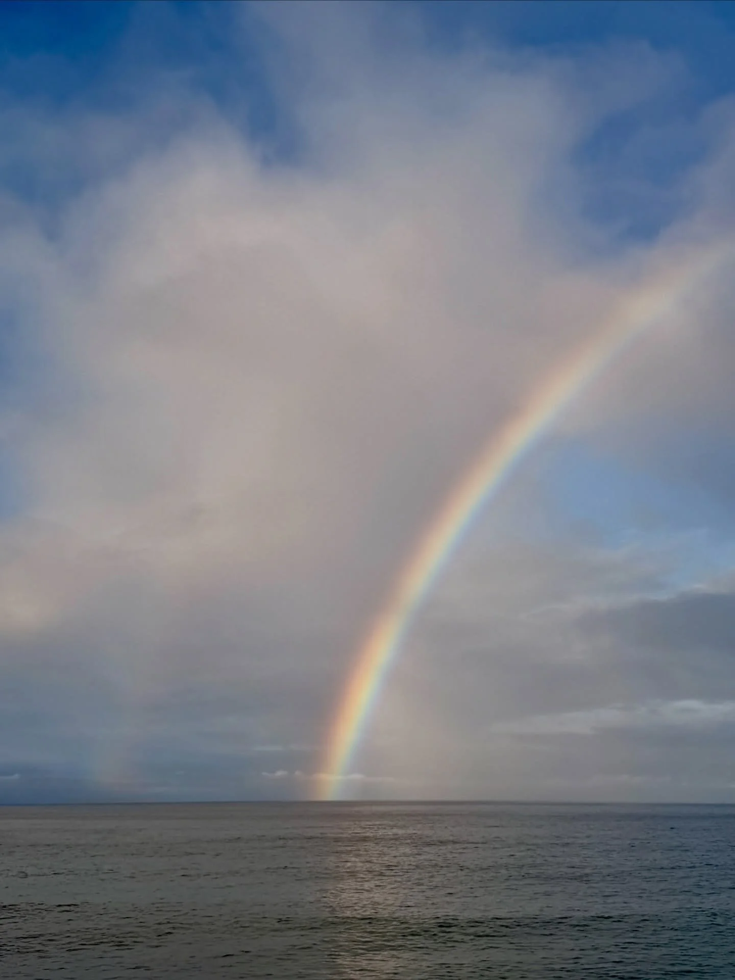 🌈