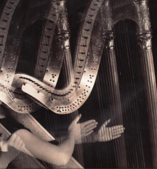 Imogen Cunningham, Three Harps, 1935, Gelatin silver print, 9 ½ x 7 ½ inches