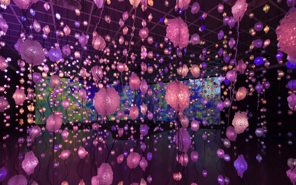 Pipilotti Rist: Pixel Forest, Installation view, New Museum, October 26, 2016 - January 15, 2017