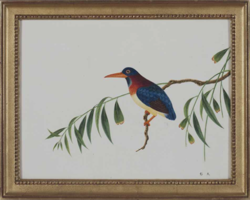 A set of 22 Ornithological Studies, Early Nineteenth Century, Estimate: $15,000 – 25,000