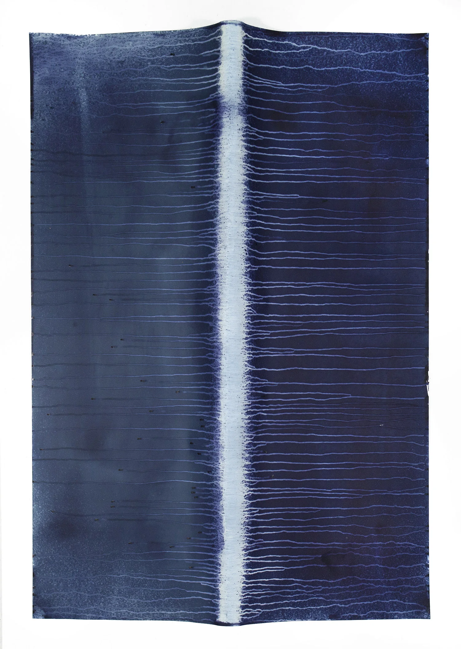 Meghann Riepenhoff, Ecotone #32 (Bainbridge Island, WA 10.11.16, Draped with Sun Showers and Drizzle) , 2016