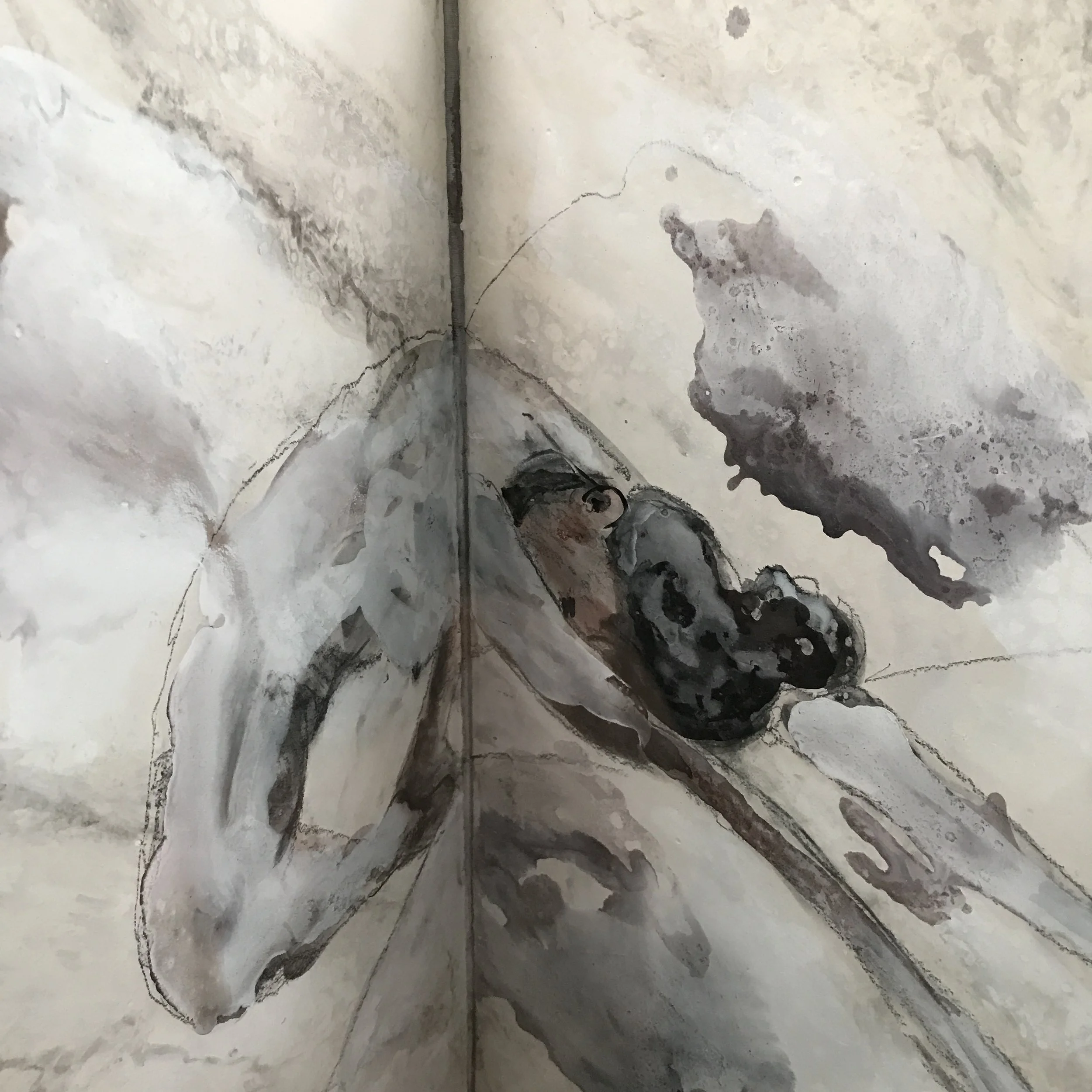 Anselm Kiefer: Transition from Cool to Warm, Artist Book, Gagosian Gallery (detail)