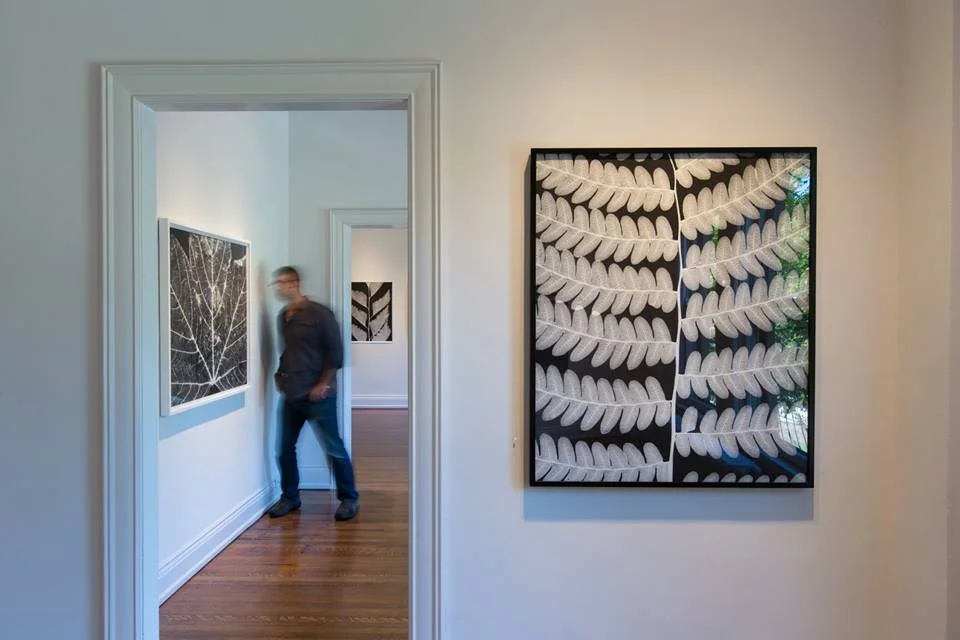 Amanda Means, Installation View