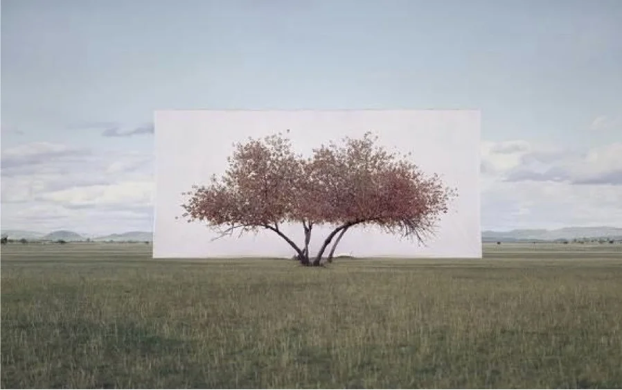 Myoung Ho Lee, Tree... #2, 2011