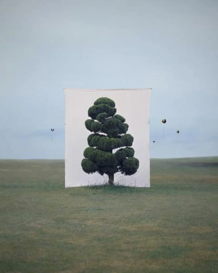 Myoung Ho Lee, Tree #2, 2006