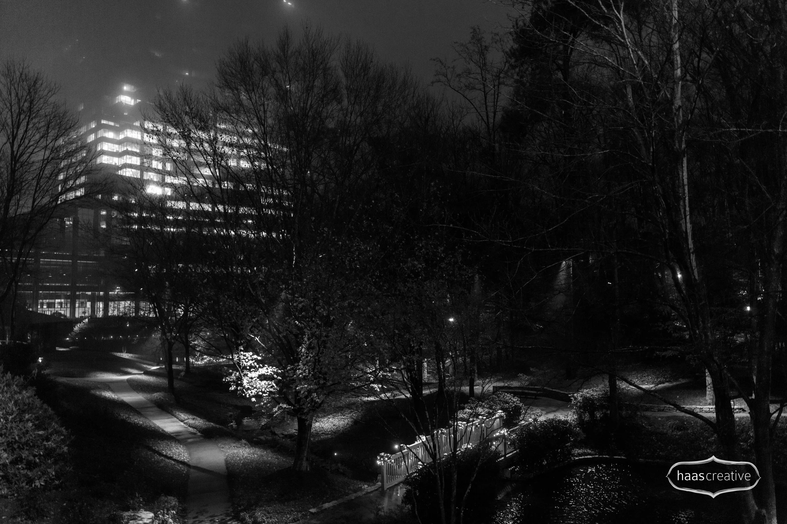 I love this shot, the park below is so clear with the fog just sitting above like a dome is protecting this area. The lights at the top of the building make it seem like some "Area 51" top security area.