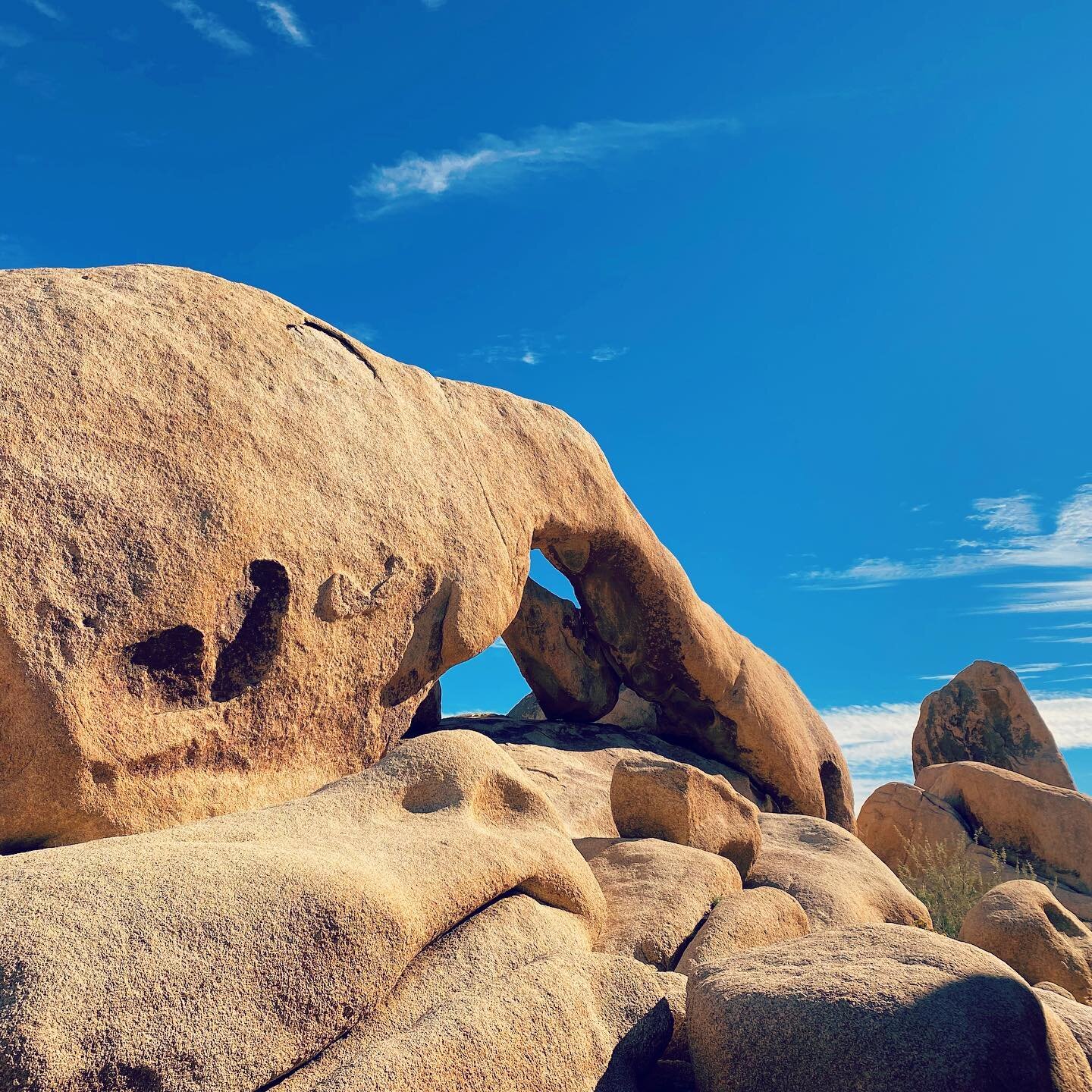 Brilliant rock formation on a gorgeous day.  Love me some bluebird skies. #archrock #california #nps #joshuatreenationalpark #prettythings #colorjunkie #inspo #travelogue #artistlife #lifeontheroad #california #anp