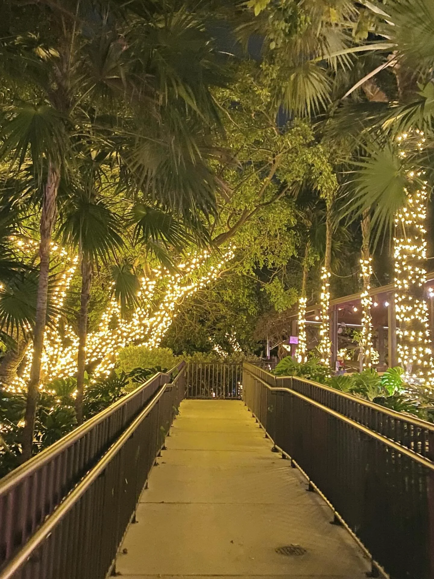 The navy bits of sky poking through, though&hellip; 

When I am among the trees,
especially the willows and the honey locust,
equally the beech, the oaks and the pines,
they give off such hints of gladness.
I would almost say that they save me, and d