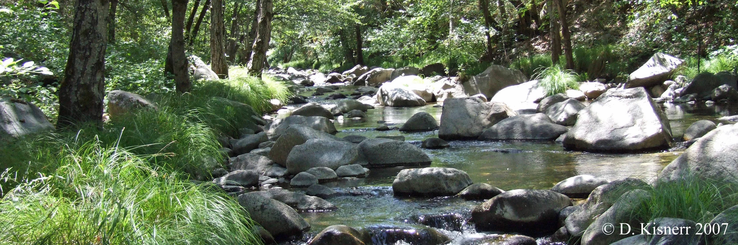 creek 6x2.jpg