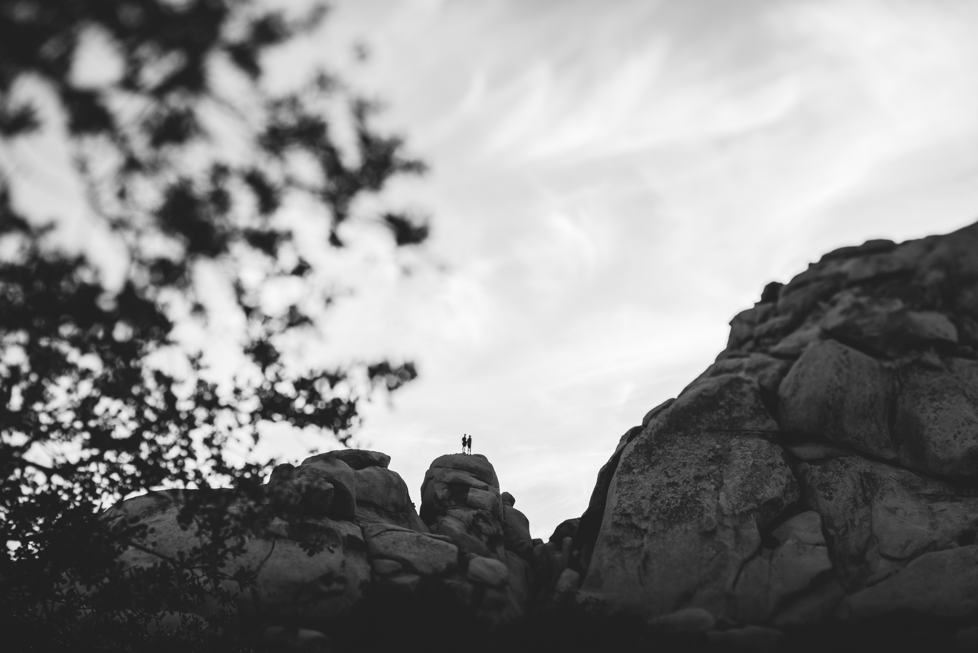 ©Isaiah & Taylor Photography - Destination Wedding Photographers - Joshua Tree, California Adventure Engagement-027.jpg