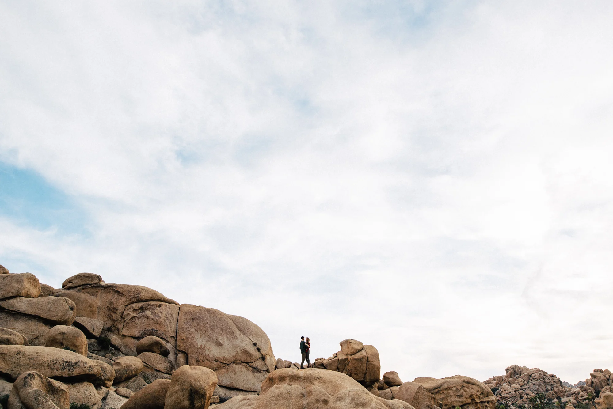 Joshua Tree Engagement, California