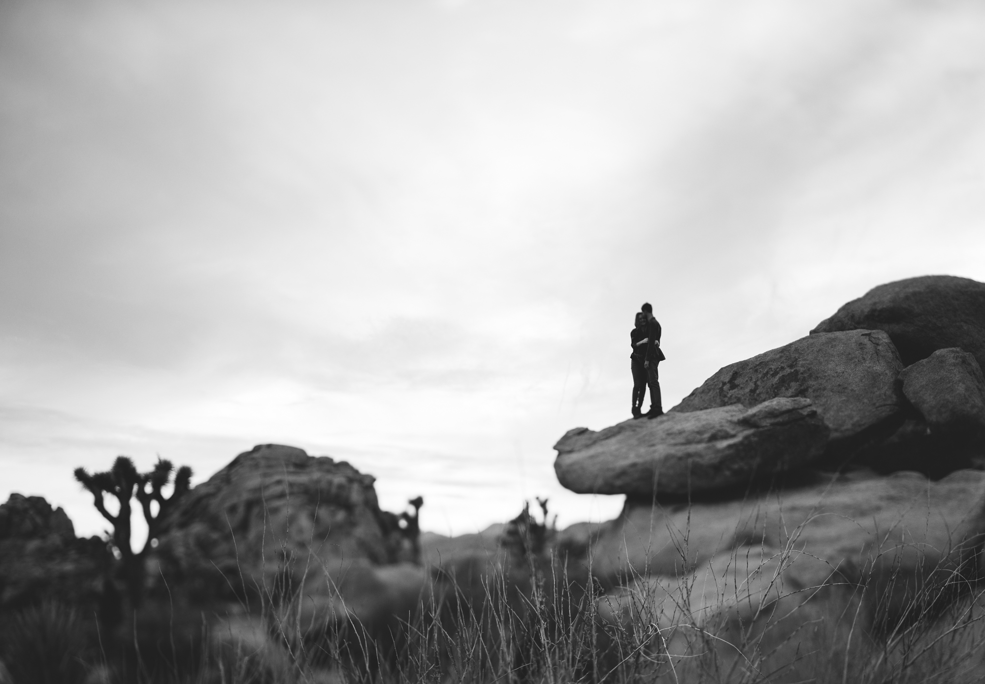 ©Isaiah & Taylor Photography - Destination Wedding Photographers - Joshua Tree, California Adventure Engagement-026.jpg