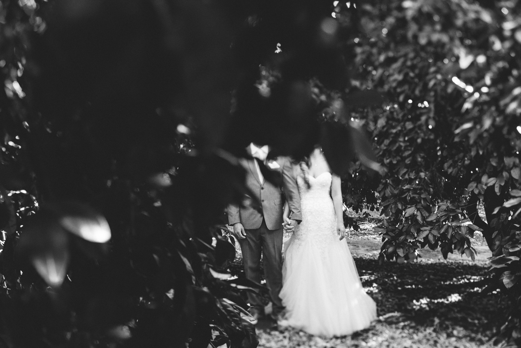 Isaiah & Taylor Photography - Destination Photographers - Temecula Winery Sunset Wedding-6.jpg
