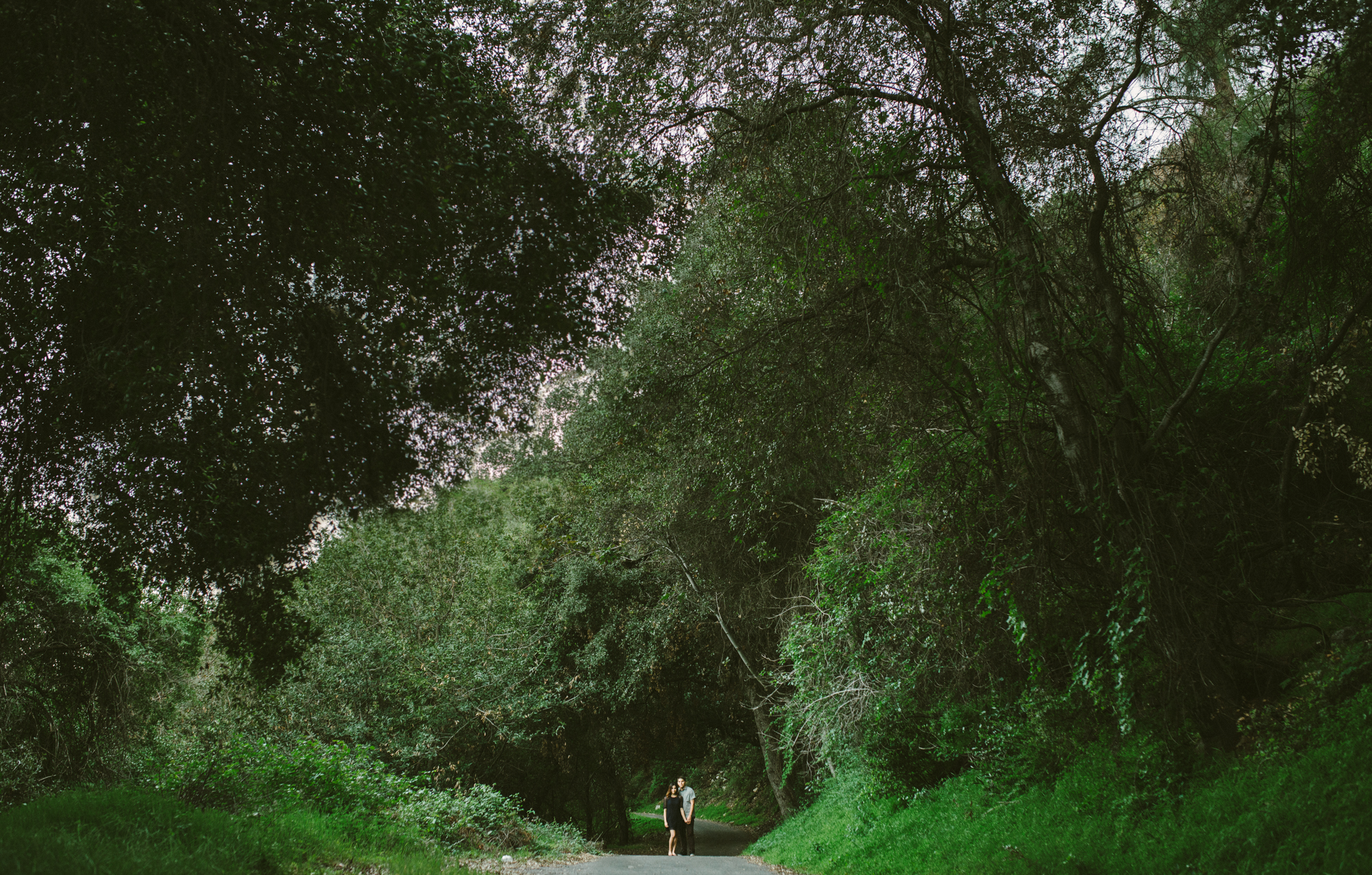 Isaiah & Taylor Photography - Los Angeles - Destination Wedding Photographers - Angeles National Forest Engagement-13.jpg