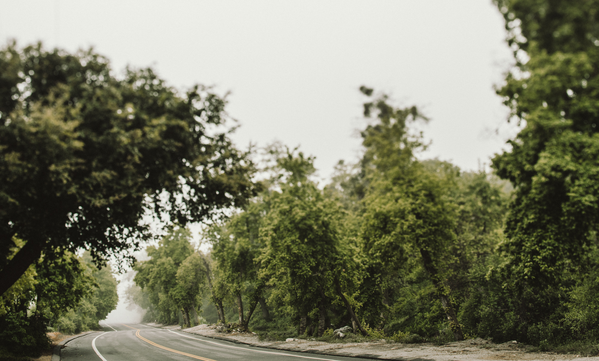 Isaiah & Taylor Photography - Los Angeles - Destination Wedding Photographers - Oak Glen Wilshire Ranch Foggy Forest Wedding-2.jpg