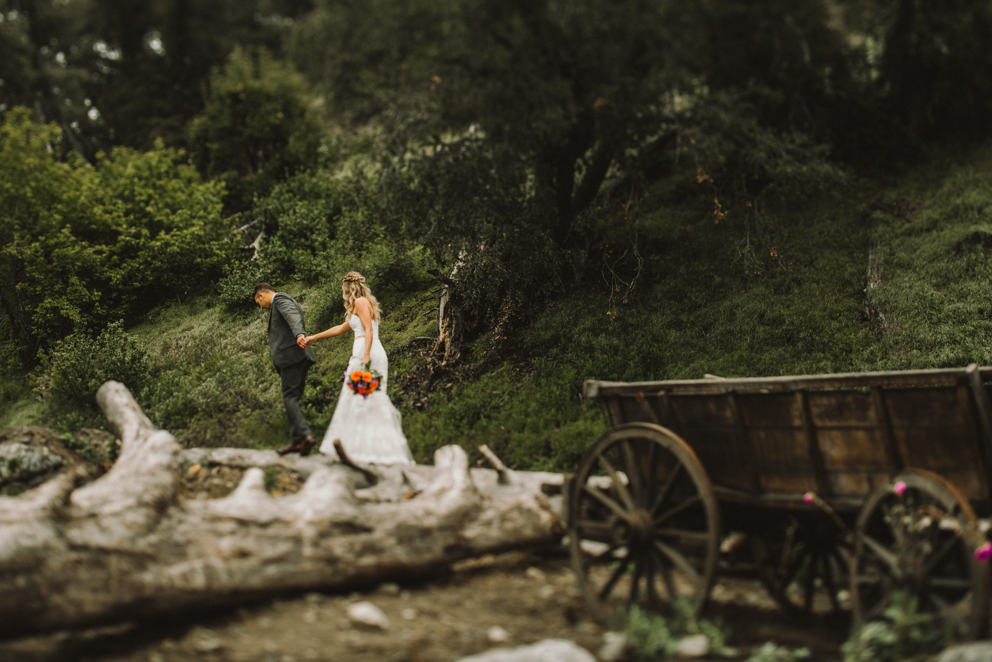 Isaiah & Taylor Photography - Los Angeles - Destination Wedding Photographers - Oak Glen Wilshire Ranch Foggy Forest Wedding-46.jpg