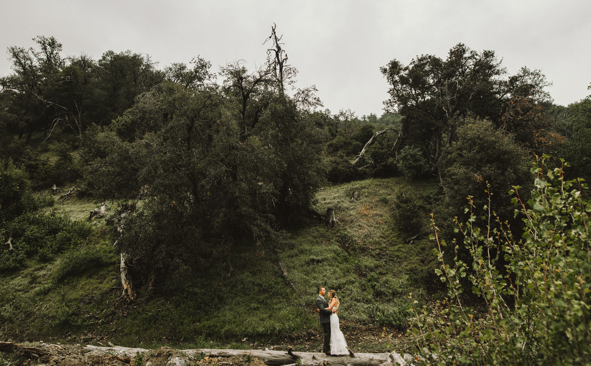 Isaiah & Taylor Photography - Los Angeles - Destination Wedding Photographers - Oak Glen Wilshire Ranch Foggy Forest Wedding-45.jpg