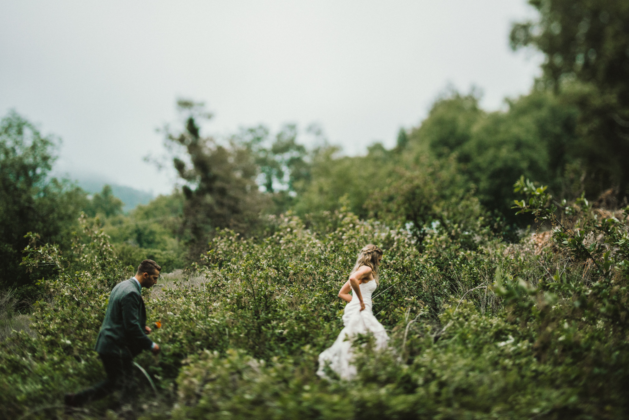 Isaiah & Taylor Photography - Los Angeles - Destination Wedding Photographers - Oak Glen Wilshire Ranch Foggy Forest Wedding-75.jpg