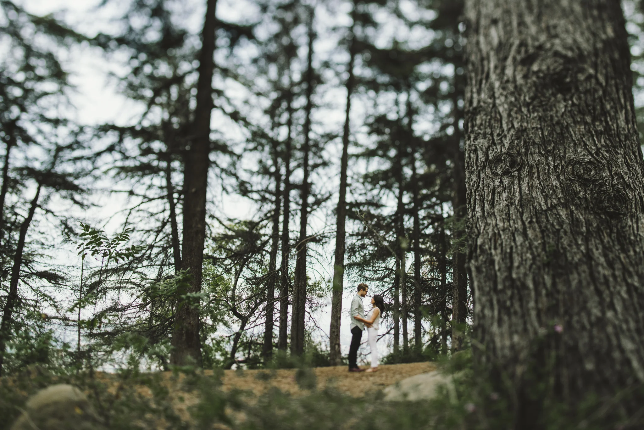 Isaiah & Taylor Photography - Los Angeles Landscape Sunset Engagement-3.jpg