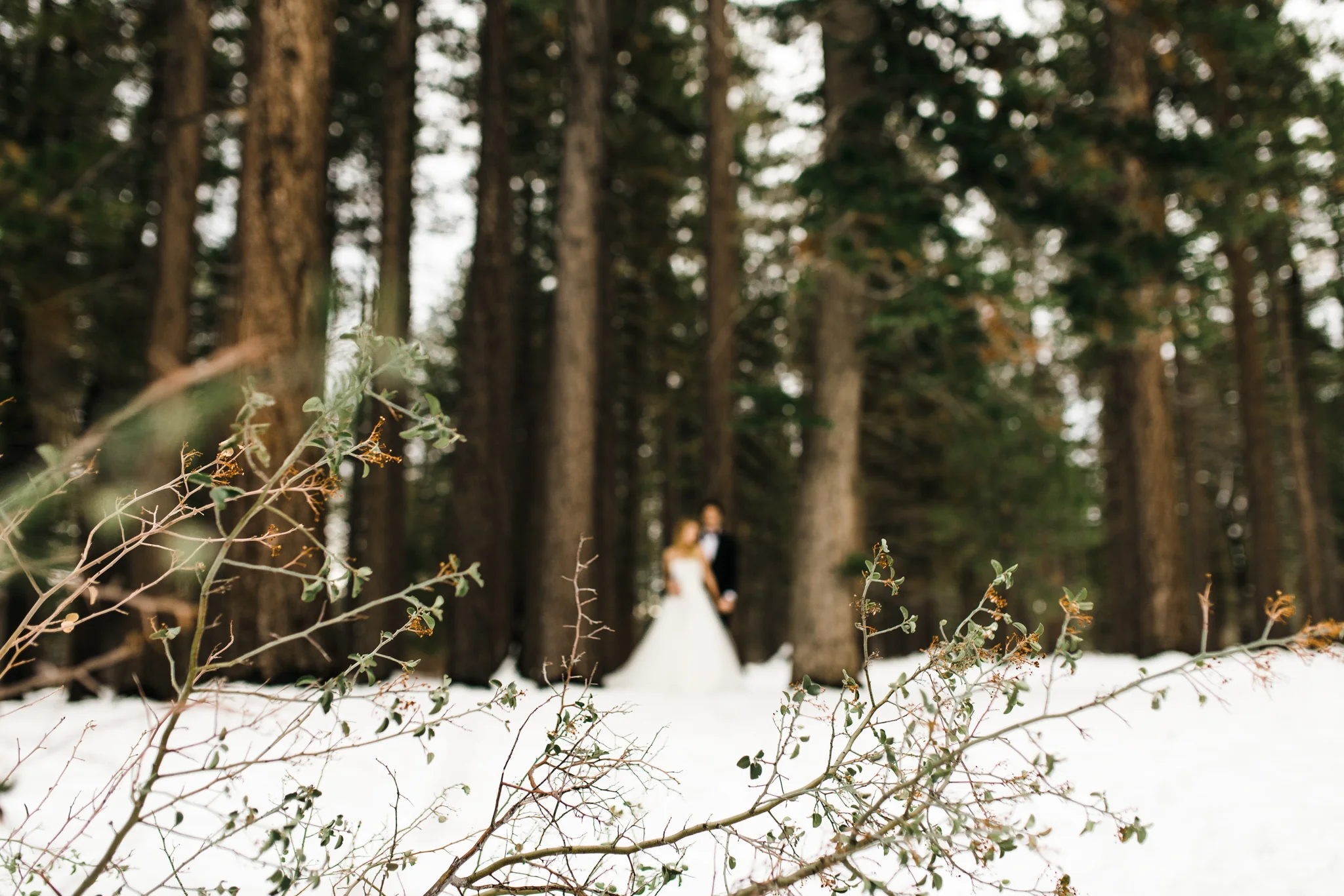 ©Isaiah & Taylor Photography - Ben & Kadin Honeymoon-020.jpg