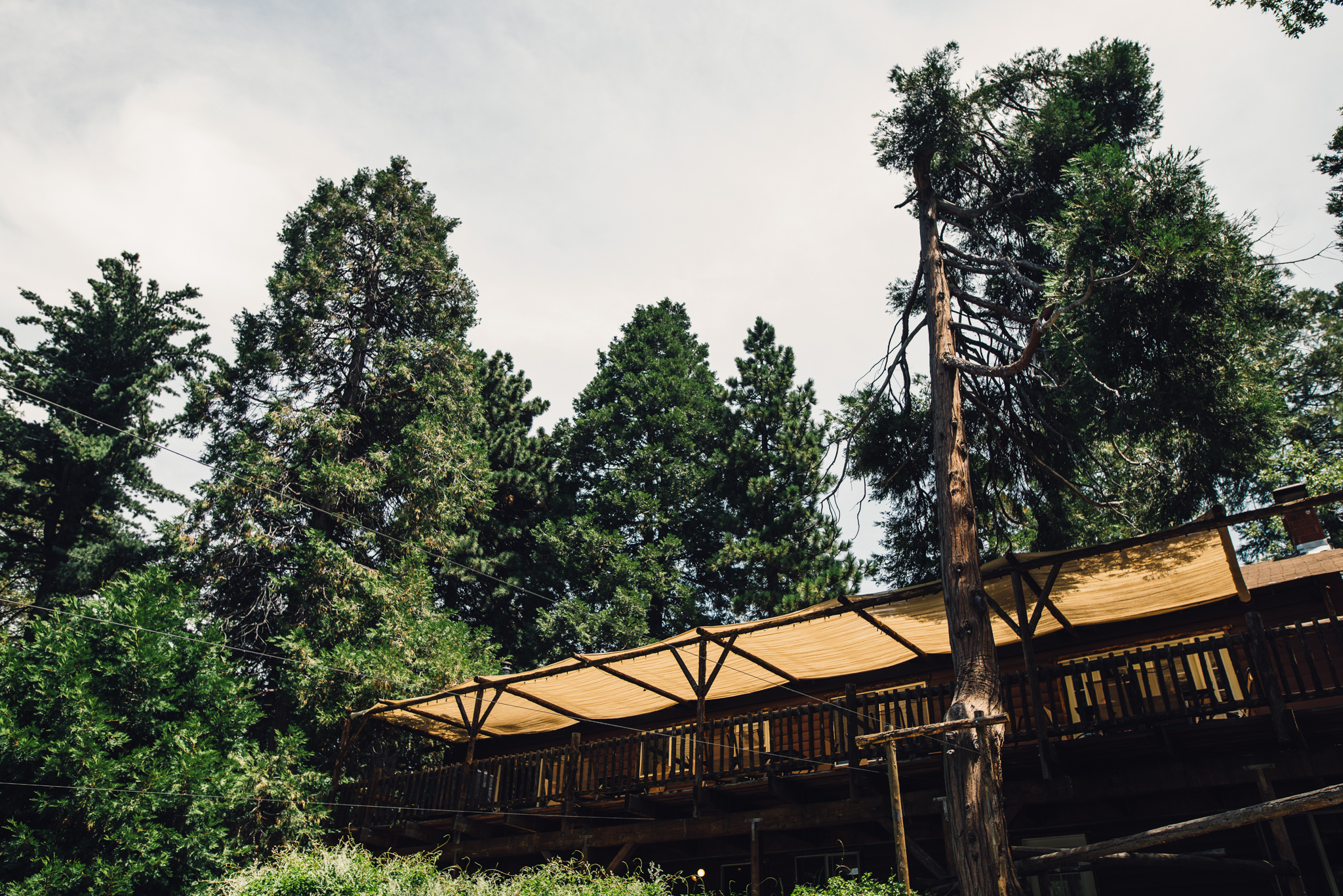 ©Isaiah & Taylor Photography - Pine Rose Cabin - Lake Arrowhead - Los Angeles Wedding Photographer-003.jpg