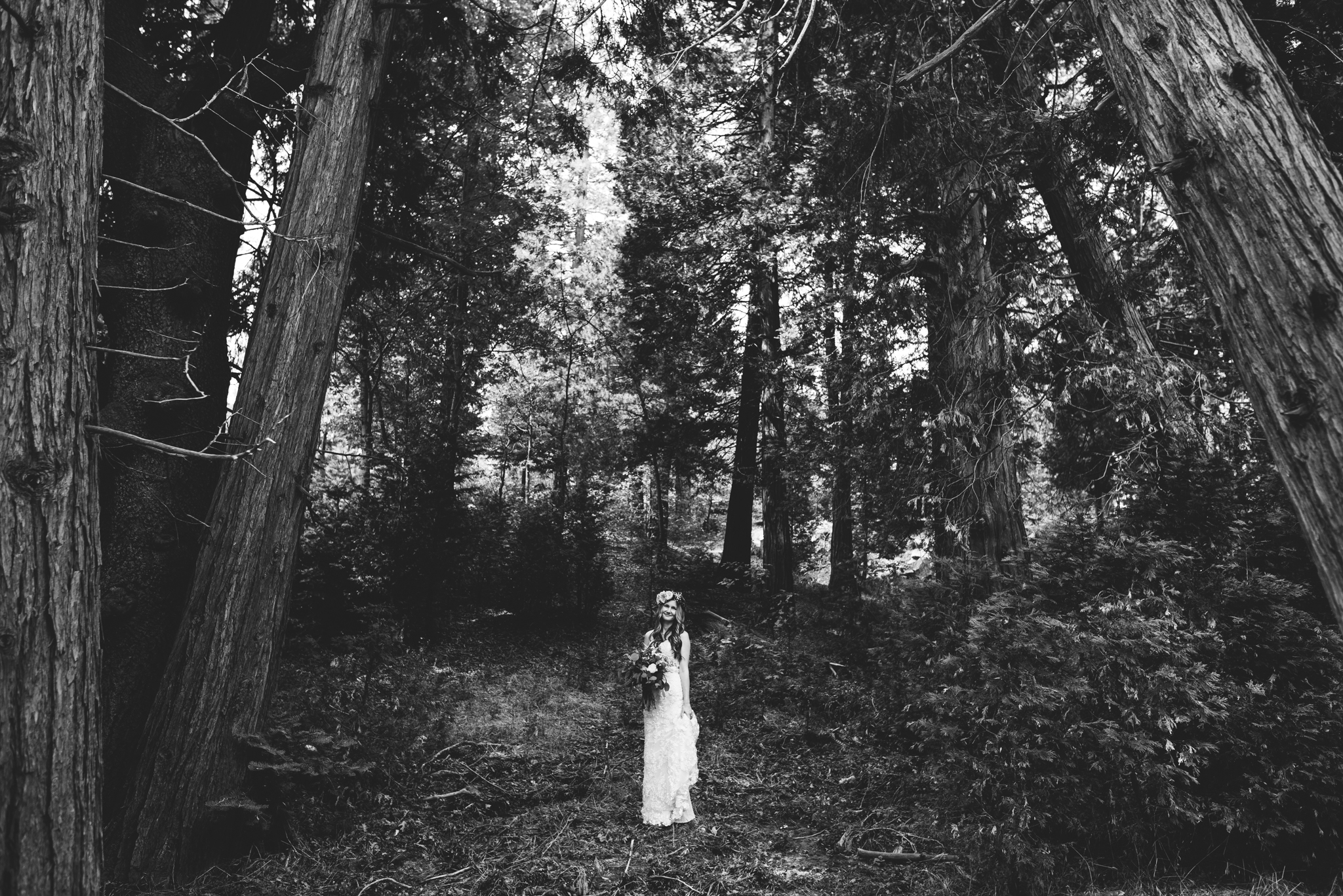 ©Isaiah & Taylor Photography - Pine Rose Cabin - Lake Arrowhead - Los Angeles Wedding Photographer-030.jpg